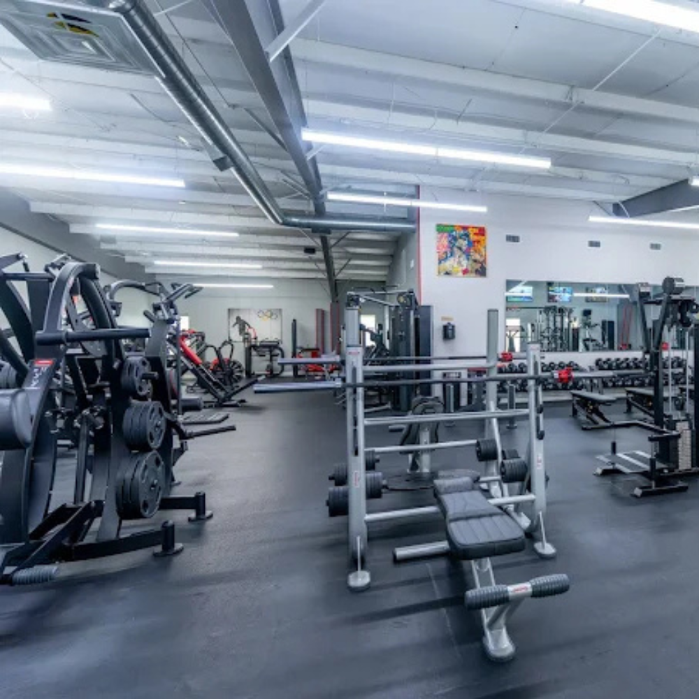 Wellness Elite Fitness